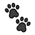 paw prints